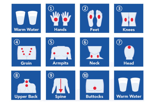 The Basic Whole-Body Protocol
