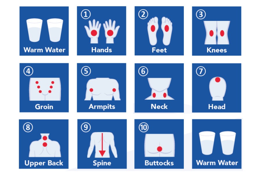The Basic Whole-Body Protocol – Wellness Solutions (iTeraCare-Utah)