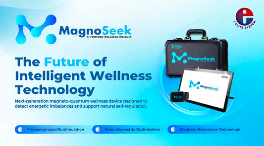 MagnoSeek Presentation